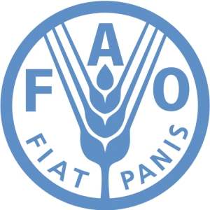 COMITÊ TIJUCAS-BIGUAÇU OFICIALMENTE NA PLATAFORMA DA ONU/FAO