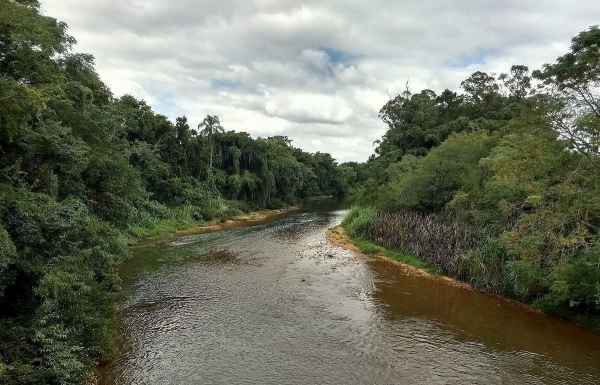 Comitê Araranguá denuncia crime ambiental no Rio Mãe Luzia