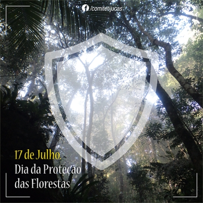 17 de julho: dia  da proteção das florestas