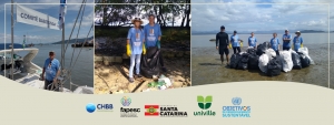 Comitê Babitonga participa de ação de limpeza nas ilhas da Babitonga