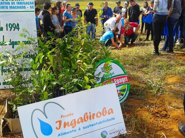 Projeto Ingabiroba distribui 2 mil mudas pelo Dia da Árvore