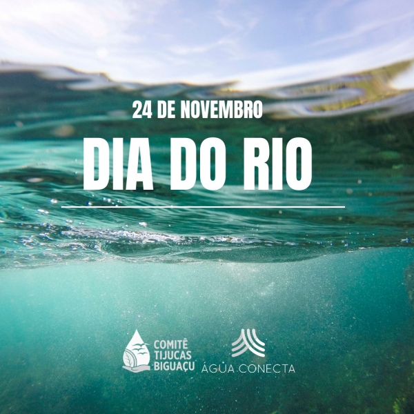 Dia do Rio: juntos pela proteção das Bacias Hidrográficas!
