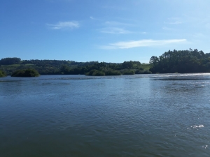 Rio Chapecó