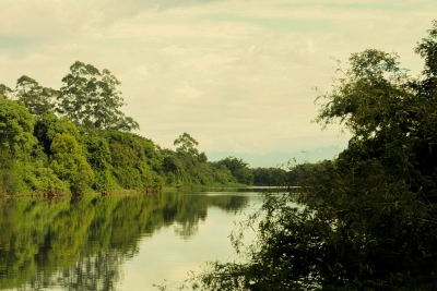 Semana do Meio Ambiente repleta de ações nos Comitês do Sul de SC