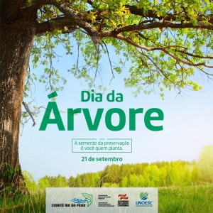 Dia da Árvore - 21 de Setembro!