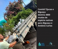 Comitê Tijucas e Biguaçu destina 4800 mudas de espécie nativas para Biguaçu e Antônio Carlos