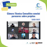Câmara Técnica Consultiva conclui pareceres sobre projetos