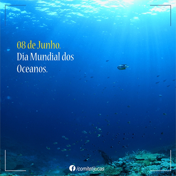 8 de junho - dia mundial dos oceanos