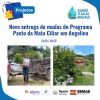 Nova entrega de mudas em Angelina