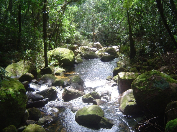 O DESAFIO DE NOVAS RELAÇÕES - SOCIEDADE-NATUREZA NO SÉCULO XXI