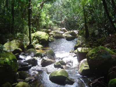 O DESAFIO DE NOVAS RELAÇÕES - SOCIEDADE-NATUREZA NO SÉCULO XXI