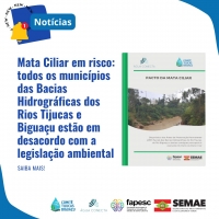 Mata Ciliar em risco: todos os municípios das Bacias Hidrográficas dos Rios Tijucas e Biguaçu estão em desacordo com a legislação ambiental