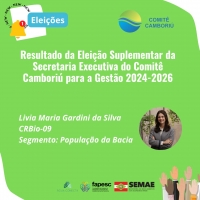 Resultado da eleição suplementar da Secretaria Executiva para gestão 2024-2026