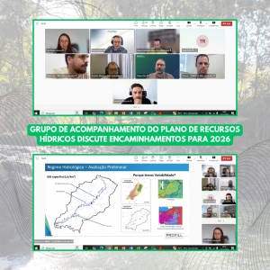 Grupo de Acompanhamento do Plano de Recursos H&iacute;dricos discute encaminhamentos para 2026