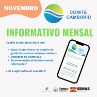 Informativo de novembro do Comitê Camboriú!