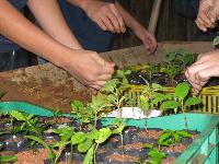 Comitês de Bacia Hidrográfica aproveitam Dia da Árvore para realizar educação ambiental 