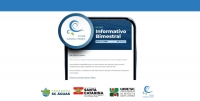 Segunda edi&ccedil;&atilde;o do informativo bimestral do Comit&ecirc; Cubat&atilde;o e Madre j&aacute; est&aacute; dispon&iacute;vel