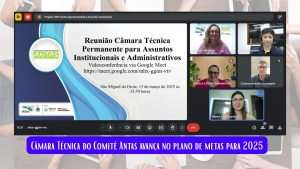 Câmara Técnica Permanente do Comitê Antas realiza reunião produtiva