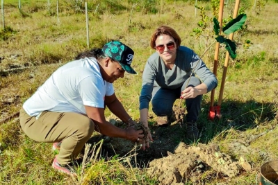 Em parceria com Aguapé, Comitê Araranguá/Mampituba promove replantio de árvores