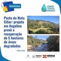 Pacto da Mata Ciliar: projeto em Angelina prevê a recuperação de 5 hectares de áreas degradadas