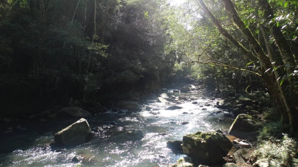 EDUCAÇÃO AMBIENTAL EM PAUTA NO COMITÊ ANTAS E PEPERI-GUAÇU