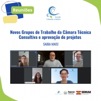 Novos Grupos de Trabalho da Câmara Técnica Consultiva e aprovação de projetos