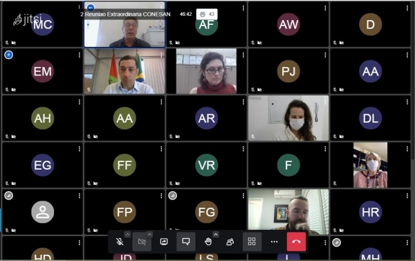 Reunião Extraordinária do Conesan aconteceu de maneira remota
