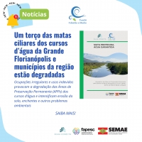 Um terço das matas ciliares dos cursos d’água da Grande Florianópolis e municípios da região estão degradadas
