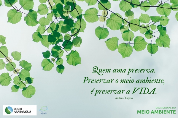 Que tenhamos, todos, um Dia Mundial do Meio Ambiente de muita reflexão!