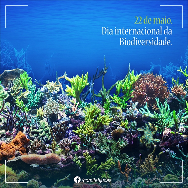 22 DE MAIO: DIA INTERNACIONAL DA BIODIVERSIDADE