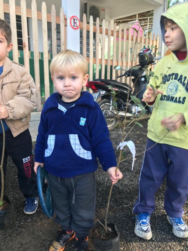 Alunos de educação infantil recebem mudas e participam de ações de educação ambiental