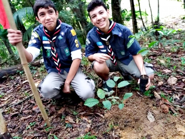 ESCOTEIROS RECUPERAM BOSQUE COM ÁRVORES DOADAS PELO PACTO DA MATA CILIAR