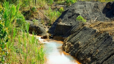 Dia da Terra: data clama para que população invista no planeta, preservando a natureza