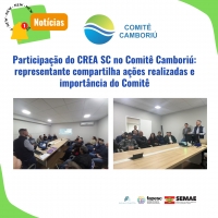 Participação do CREA SC no Comitê Camboriú: representante compartilha ações realizadas e importância do Comitê