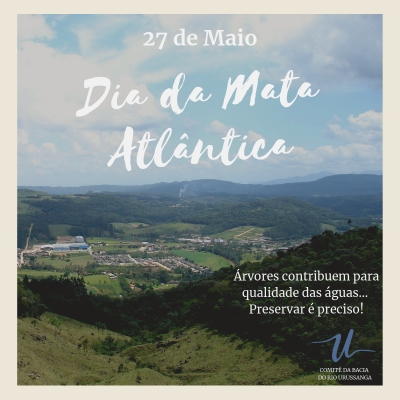 Dia da Mata Atlântica: Árvores contribuem para qualidade das águas