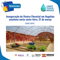 Inauguração do Viveiro Florestal em Angelina acontece nesta sexta-feira, 21 de março
