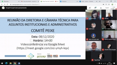 Diretoria e Câmara Técnica para Assuntos Institucionais e Administrativos do Comitê Peixe definem ações para a Semana da Água