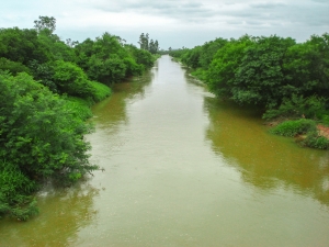 Comitê do Rio Urussanga clama por maior mobilização em prol da preservação das águas
