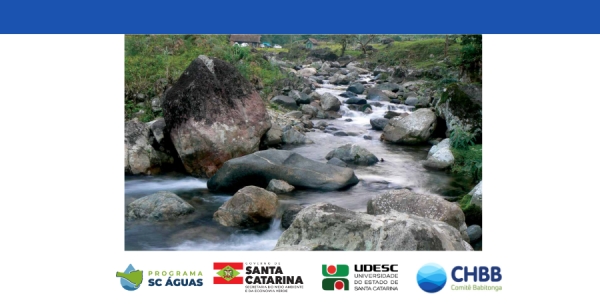 Comit&ecirc; Babitonga divulga resultados do IQA 2025 e aponta contrastes entre Cubat&atilde;o e Cachoeira