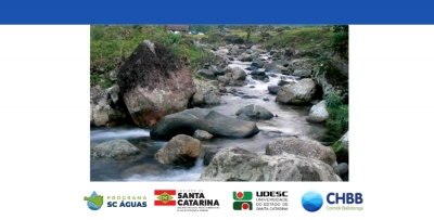 Comit&ecirc; Babitonga divulga resultados do IQA 2025 e aponta contrastes entre Cubat&atilde;o e Cachoeira