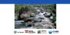 Comit&ecirc; Babitonga divulga resultados do IQA 2025 e aponta contrastes entre Cubat&atilde;o e Cachoeira
