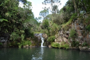  Córrego na área rural de São Joaquim