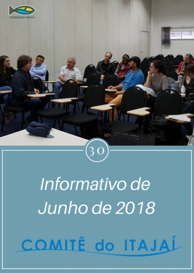 Informativo 30 - Junho de 2018