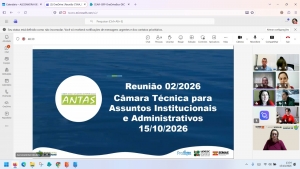 C&acirc;mara T&eacute;cnica do Comit&ecirc; Antas e Afluentes do Peperi-gua&ccedil;u retoma atividades e define pr&oacute;ximos encaminhamentos