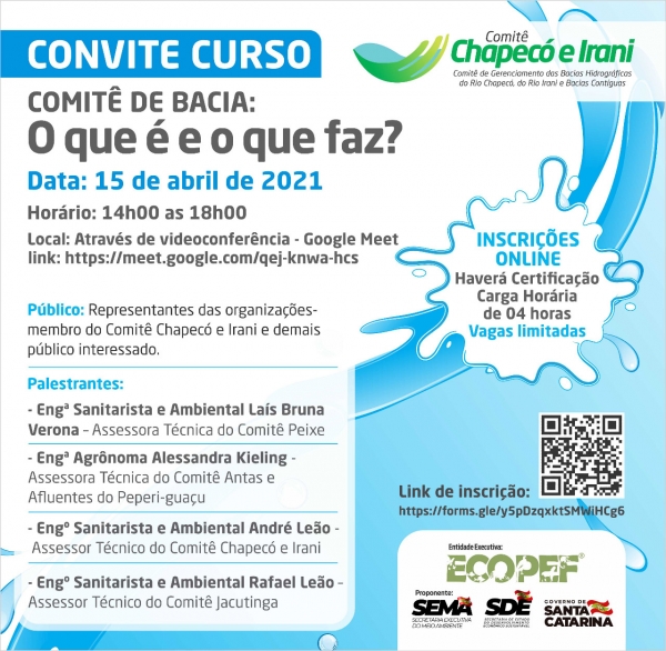 Curso de Capacitação - Comitê: o que é e o que faz?