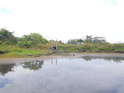 Agricultura da região Sul também é impactada pela estiagem