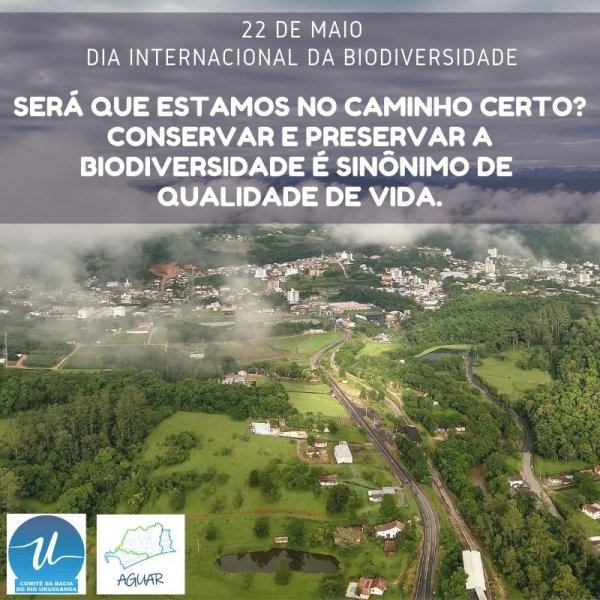 Biodiversidade é essencial para sobrevivência humana e equilíbrio da saúde pública