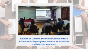 Câmara Técnica do CBH Antas encerra as atividades de 2024 com reunião de reflexões estratégicas