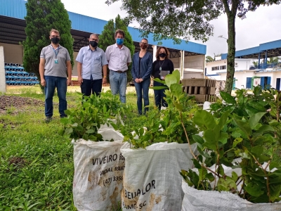 Urussanga e Cocal do Sul recebem mudas de projeto de compensação ambiental