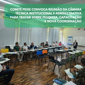 Comit&ecirc; Peixe convoca reuni&atilde;o da C&acirc;mara T&eacute;cnica Institucional e Administrativa para tratar sobre pesquisa, capacita&ccedil;&atilde;o e nova coordena&ccedil;&atilde;o